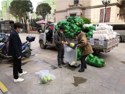 荆州区郢城镇推进农副产品直销进小区服务