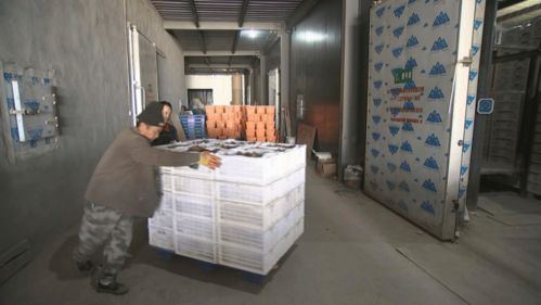 兴产业鼓钱袋 安哈镇农副产品销售有路子